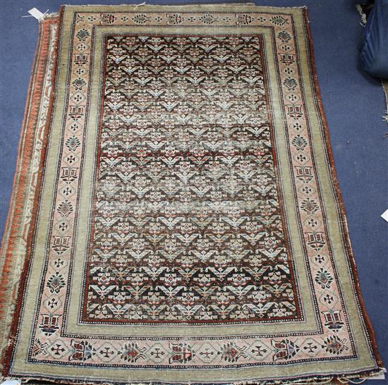 An Antique Persian black ground rug, with field of stylised floral motifs, multi-bordered, 141 x 99cm